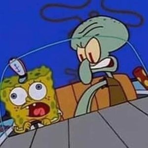 Meet your Posher, Gavin